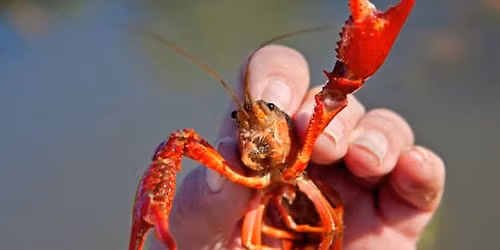 The Barman\u2019s Fund Memorial Day Crawfish Boil 2026