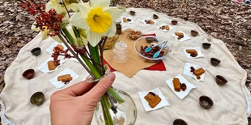 Guided Shinrin-yoku: Rest and Reconnect in Nature