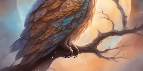 Night Tigers: Our Neighborhood Owls