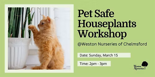 Pet Safe Houseplants At Weston Nurseries of Chelmsford- FREE!