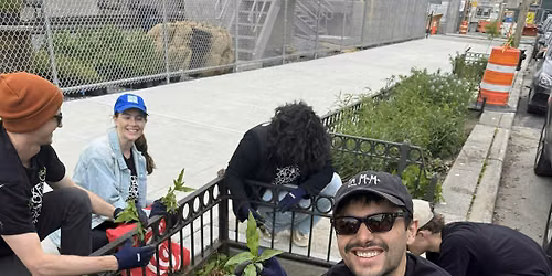 Rain Garden Stewardship (6th St Green Corridor)