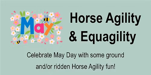 Horse Agility & Equagility