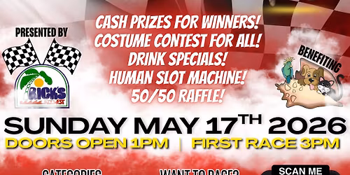 Running of the Chihuahuas!