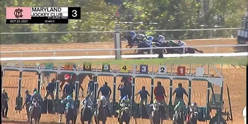 Christmastide Stakes Race Day Buffet