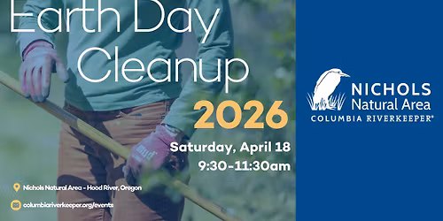 River Cleanup at the Nichols Natural Area