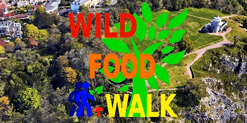 April Avon Gorge (Bristol) Wild Food Foraging\/ Forager Walk.