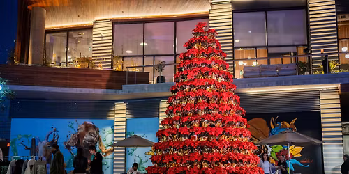 Merry & Bright Pop Up Night @ West Edge