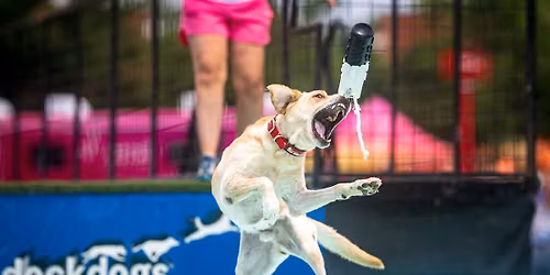 DockDogs\u00ae at the San Diego County Fair |  Wild Card!