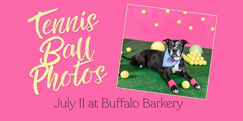 Tennis Ball Photos