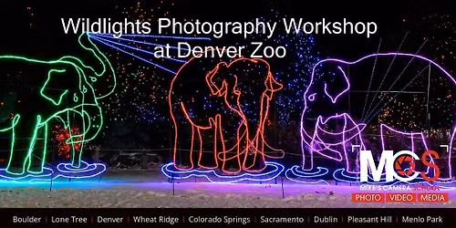 3 Part Wildlights Photography workshop at Denver Zoo