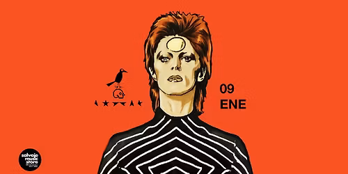 DAVID BOWIE : MISSING THE ALIEN