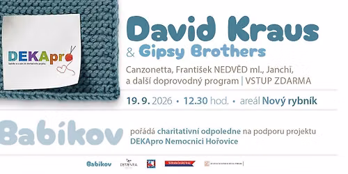 DEKApro Nemocnici Ho\u0159ovice