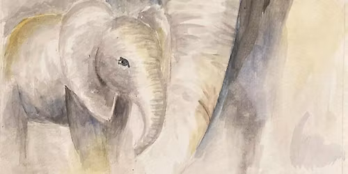 Watercolour Elephants with Elaine Cooney 
