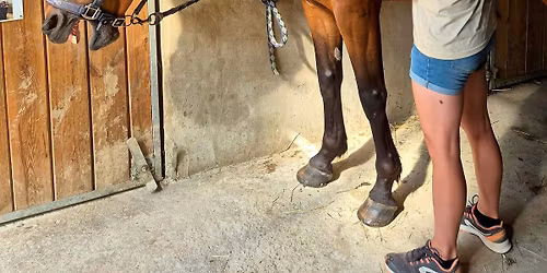 D\u00e9monstration, soins \u00e9nerg\u00e9tiques et communication animale