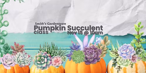 Pumpkin Succulent Class