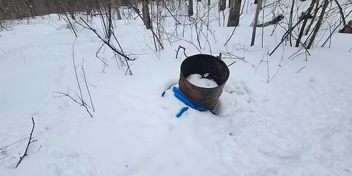 \ud83c\udf31 Nettoyage du printemps au Bois\u00e9 des Estacades \ud83c\udf31