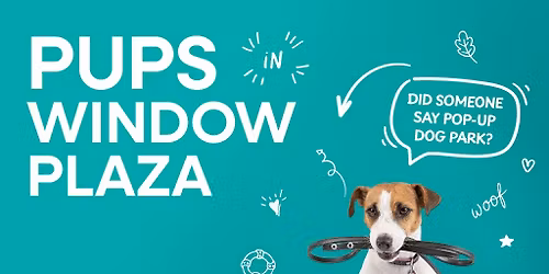 Pups in Window Plaza