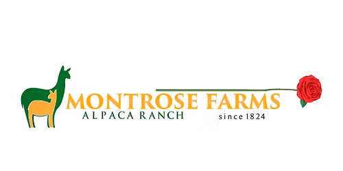 Shop with the Alpacas on Small Business Saturday