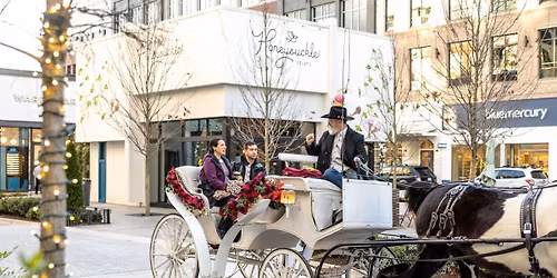 Horse Drawn Carriage Rides