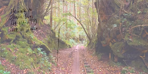 Attending Landscapes: Walking, Listening and Mapping with Harri Harrison