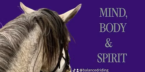 Dressage, Working Equitation & Horsemanship 1, 2, 3 Day Camp