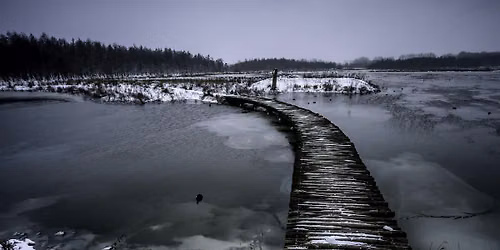 Winterwandeling Broekpolder Vlaardingen