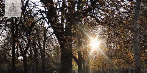 Respiri e Racconti \u2013 Esperienza gratuita di scrittura nella natura
