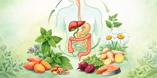 A t\u00e1pl\u00e1lkoz\u00e1s \u00e9s a gy\u00f3gyn\u00f6v\u00e9nyek szerepe az em\u00e9szt\u00e9s t\u00e1mogat\u00e1s\u00e1ban