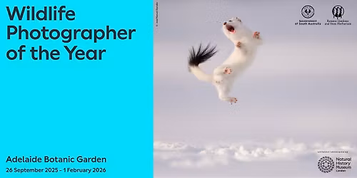 Wildlife Photographer of the Year