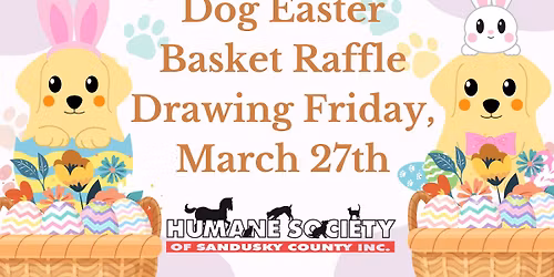 Dog Easter Basket Raffle