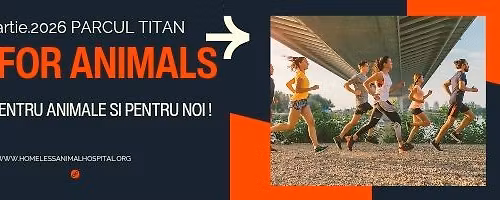 RUN 4 ANIMALS 