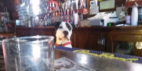 Saint Patrick\u2019s Day \u2618\ufe0f