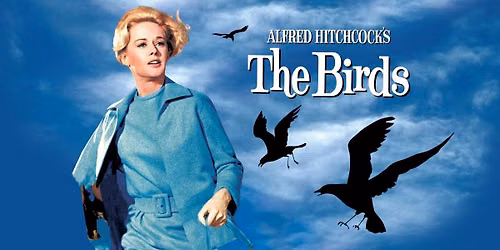 Classic Movie Night: The Birds