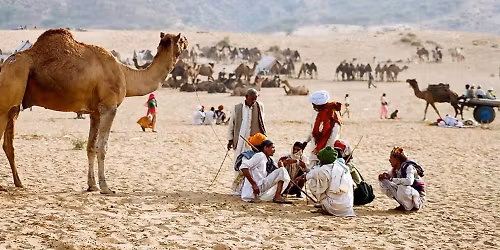 pushkar camel fair