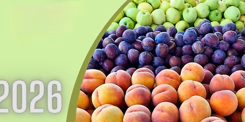 Monroe Farmers Market 