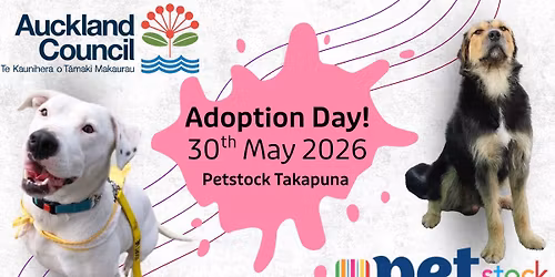 Adoption Day!