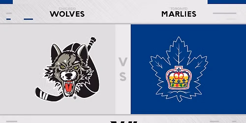 Chicago Wolves at Toronto Marlies at Scotiabank Arena