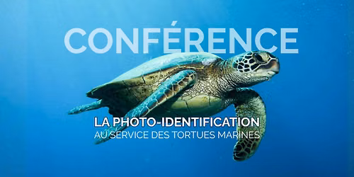 Conf\u00e9rence mensuelle "La photo-identification au service des tortues marines"