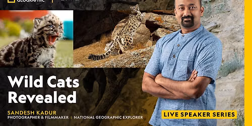 NATIONAL GEOGRAPHIC LIVE: WILD CATS REVEALED WITH SANDESH KADUR