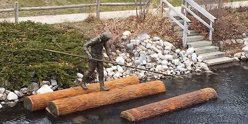 Nature area clean up !
