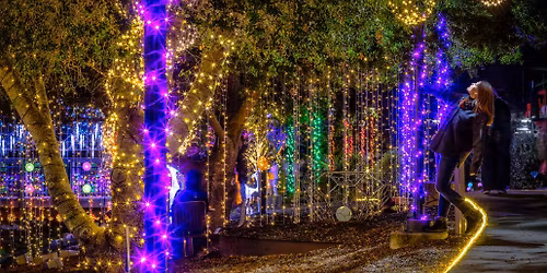 California Symphony: Northern Lights