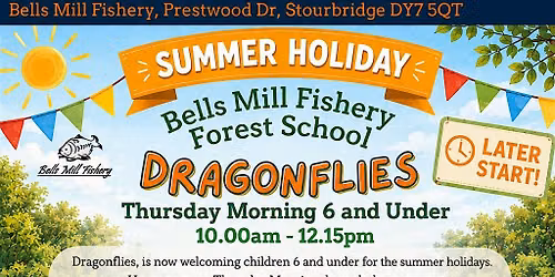 Dragonflies- (Summer Holidays) Under 6