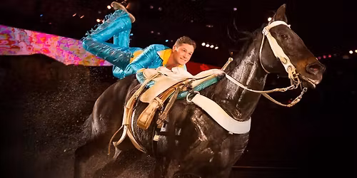 \ud83c\udf89 Dolly Parton\u2019s Stampede Dinner Show Weekend Getaway Branson \ud83c\udfa0\ud83c\udf7d Just $149 per couple!