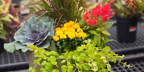 Fall Porch Pot Workshop