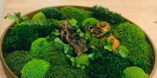 Design A Moss & Dried Flower Artwork