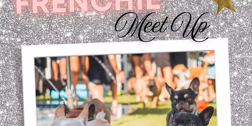 Frenchie Meet Up at Mutts & Martinis