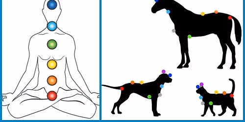 Soins \u00e9nerg\u00e9tiques humains\/animaux et lithoth\u00e9rapie \u00e0 Ath