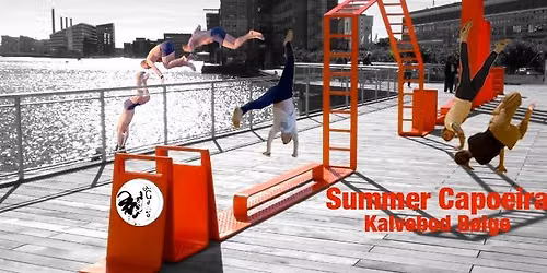 Summer Capoeira - Kalvebod B\u00f8lge - Cm.Galo