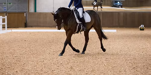 Unaffiliated Dressage