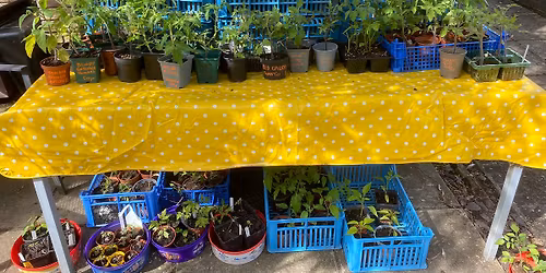 Wantage Market Garden Open Day